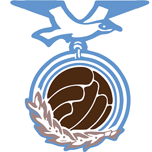 logo_chayka-2020-1